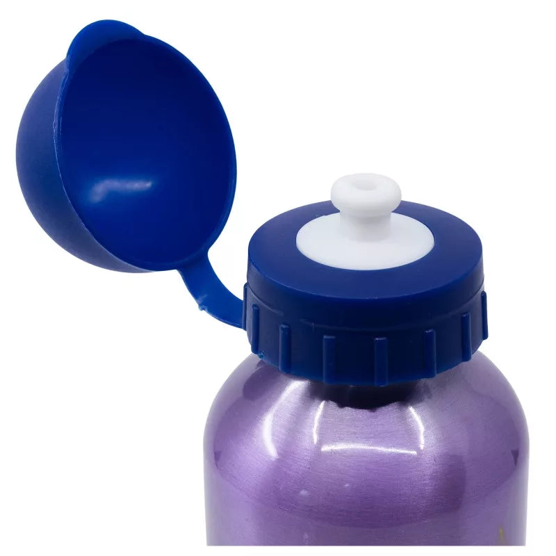 Gourde en aluminium Reine des neiges 400ml