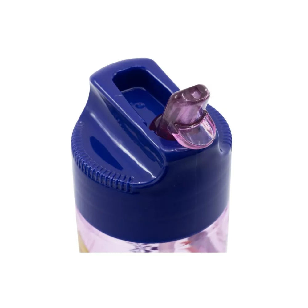 Gourde en plastique hydro Reine des neiges 430ml