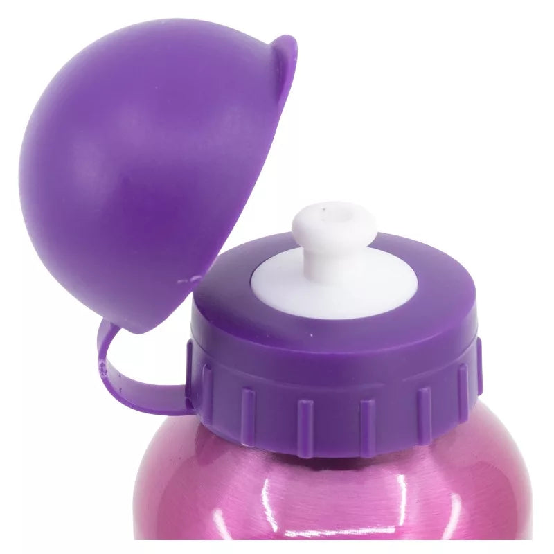 Gourde en aluminium Princesses 400ml