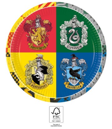 Assiettes en carton Harry Potter 23cm